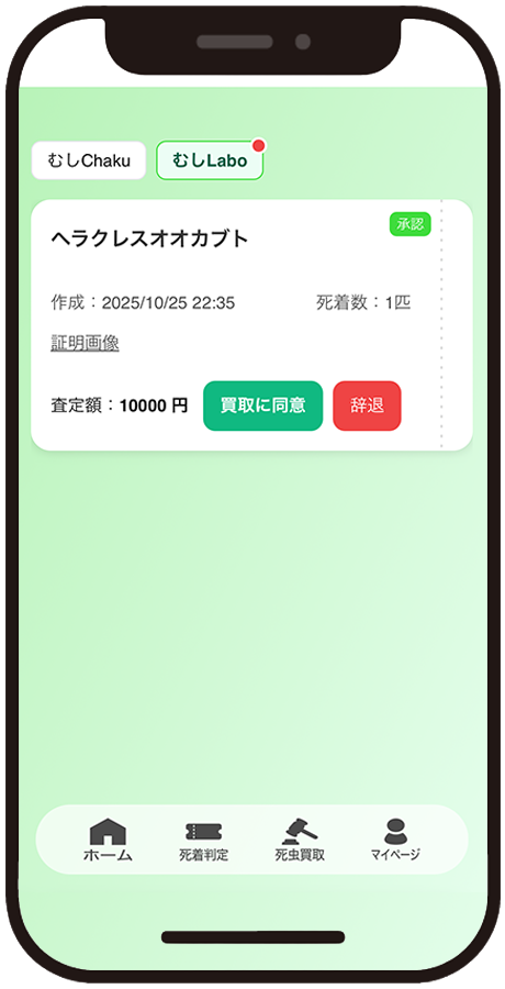 証明書イメージ